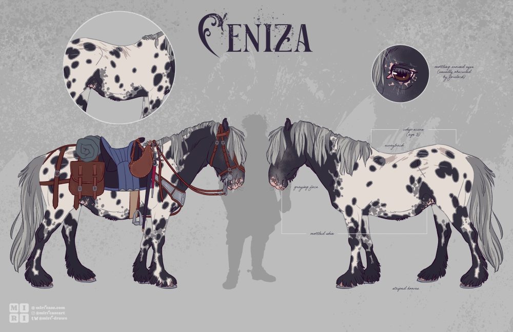 Ceniza | Warhorse | character sheet